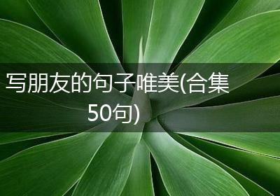 写朋友的句子唯美(合集50句)