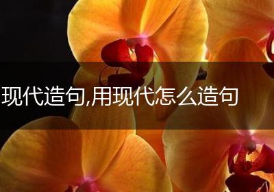 现代造句,用现代怎么造句