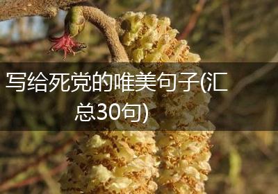 写给死党的唯美句子(汇总30句)