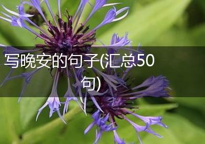 写晚安的句子(汇总50句)