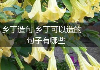 乡丁造句 乡丁可以造的句子有哪些