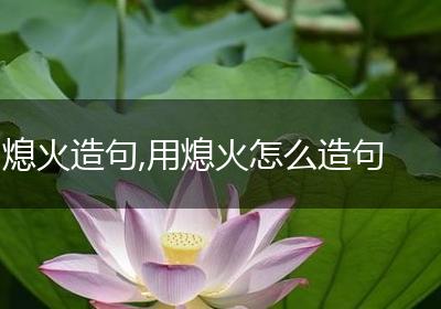 熄火造句,用熄火怎么造句