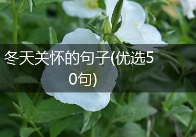 冬天关怀的句子(优选50句)