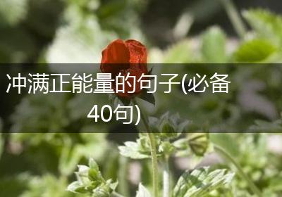 冲满正能量的句子(必备40句)