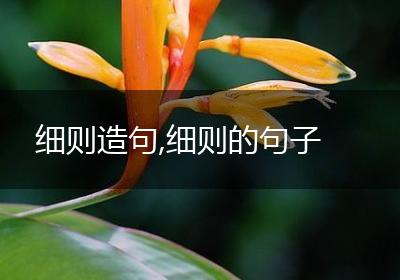 细则造句,细则的句子