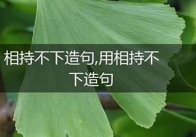 相持不下造句,用相持不下造句