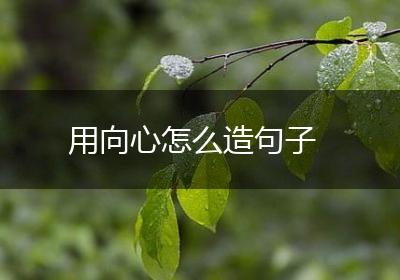 用向心怎么造句子