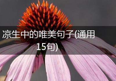 凉生中的唯美句子(通用15句)