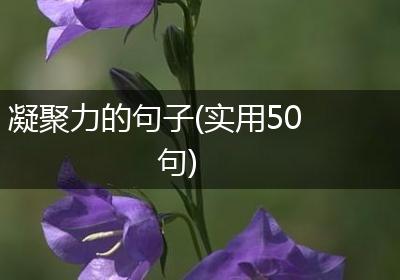 凝聚力的句子(实用50句)