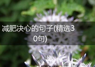 减肥决心的句子(精选30句)
