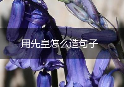 用先皇怎么造句子
