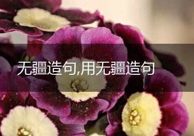 无疆造句,用无疆造句
