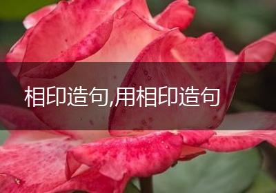 相印造句,用相印造句