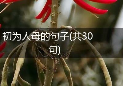 初为人母的句子(共30句)