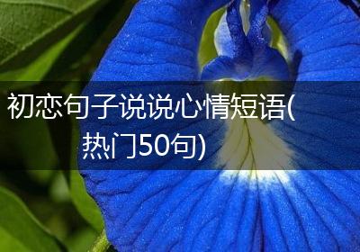 初恋句子说说心情短语(热门50句)
