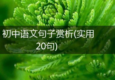 初中语文句子赏析(实用20句)