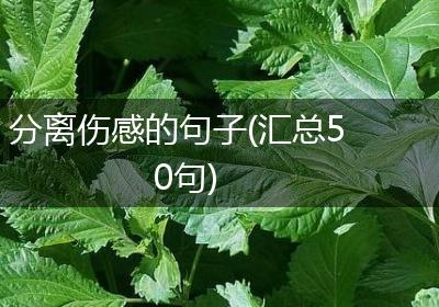 分离伤感的句子(汇总50句)