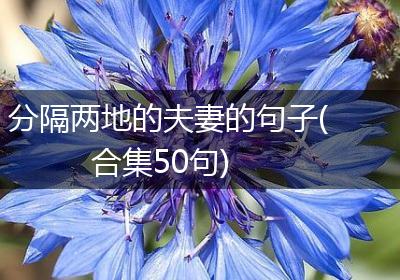 分隔两地的夫妻的句子(合集50句)