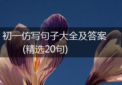 初一仿写句子大全及答案(精选20句)