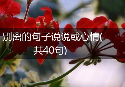 别离的句子说说或心情(共40句)