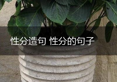 性分造句 性分的句子