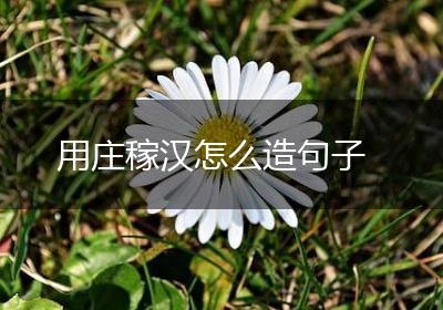 用庄稼汉怎么造句子