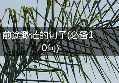 前途渺茫的句子(必备10句)