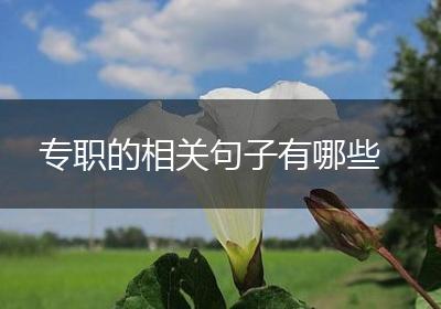 专职的相关句子有哪些