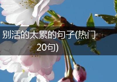别活的太累的句子(热门20句)