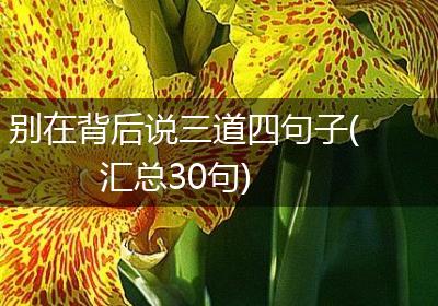 别在背后说三道四句子(汇总30句)