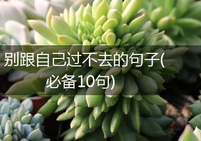 别跟自己过不去的句子(必备10句)