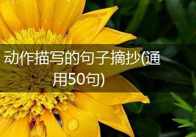 动作描写的句子摘抄(通用50句)