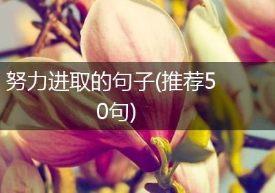 努力进取的句子(推荐50句)