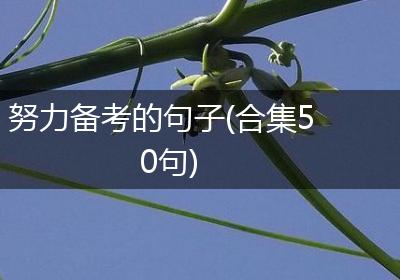 努力备考的句子(合集50句)