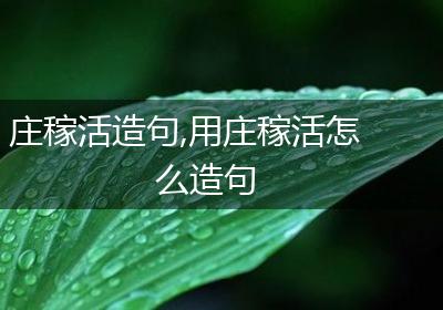 庄稼活造句,用庄稼活怎么造句