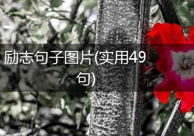 励志句子图片(实用49句)
