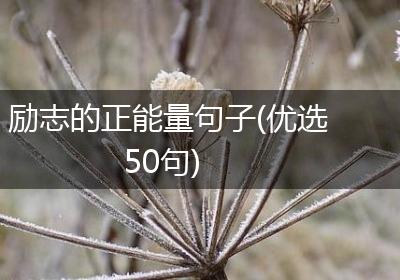 励志的正能量句子(优选50句)