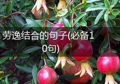 劳逸结合的句子(必备10句)