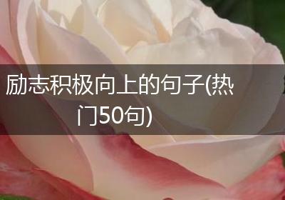 励志积极向上的句子(热门50句)
