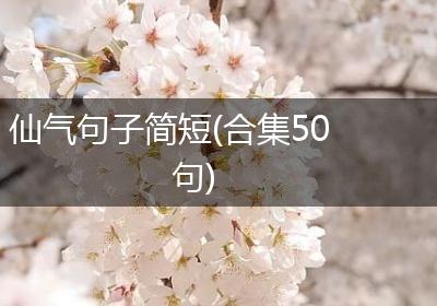 仙气句子简短(合集50句)