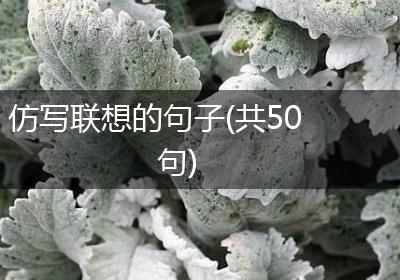 仿写联想的句子(共50句)