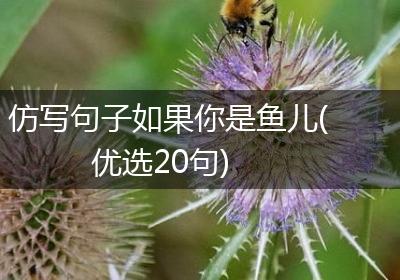 仿写句子如果你是鱼儿(优选20句)