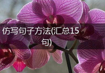 仿写句子方法(汇总15句)