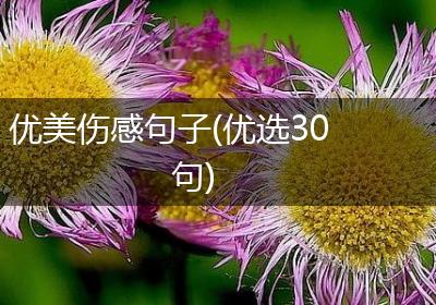 优美伤感句子(优选30句)