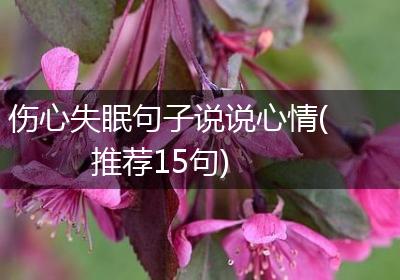 伤心失眠句子说说心情(推荐15句)