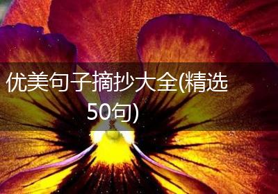 优美句子摘抄大全(精选50句)
