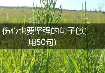 伤心也要坚强的句子(实用50句)