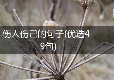 伤人伤己的句子(优选49句)