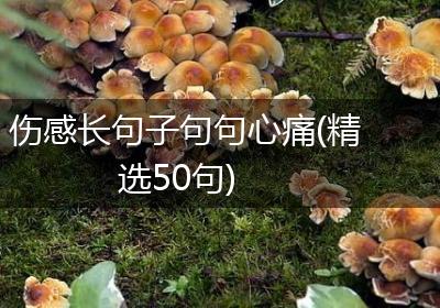 伤感长句子句句心痛(精选50句)