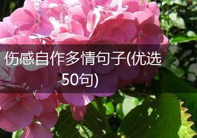 伤感自作多情句子(优选50句)